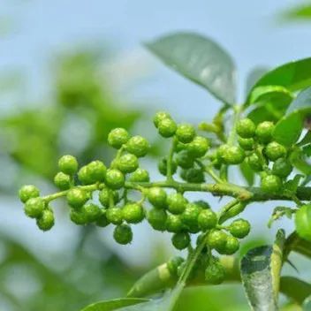 Ѱζ֮ã05߽ġٽ֮硱