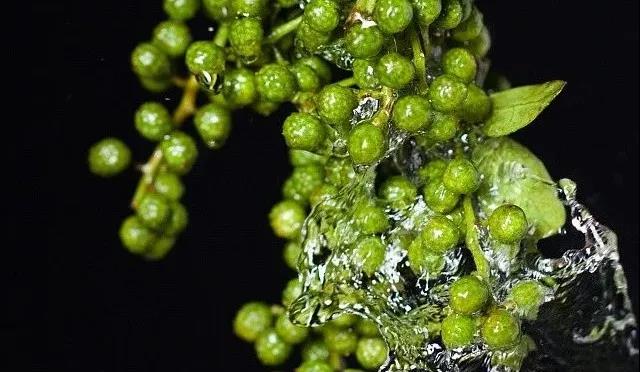 ΢ͼƬ_20200518170623